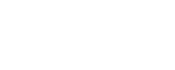 saneforce-w